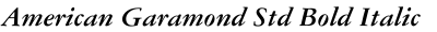 American Garamond Std Bold Italic